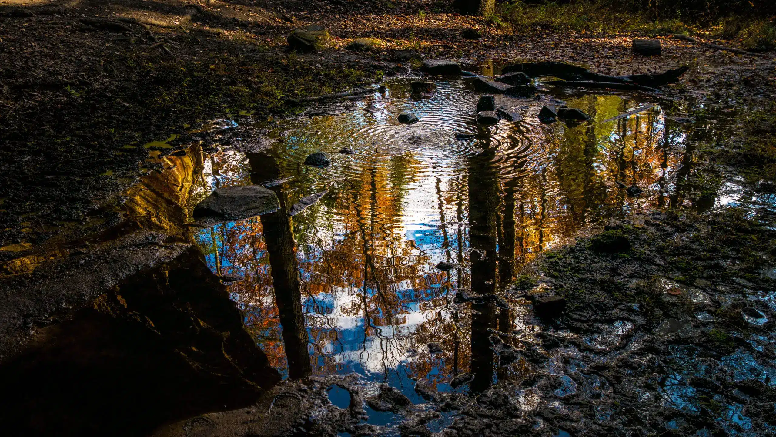 AdobeStock 289756593 Scaled 1.jpeg AdobeStock 289756593 scaled 1.jpeg 1