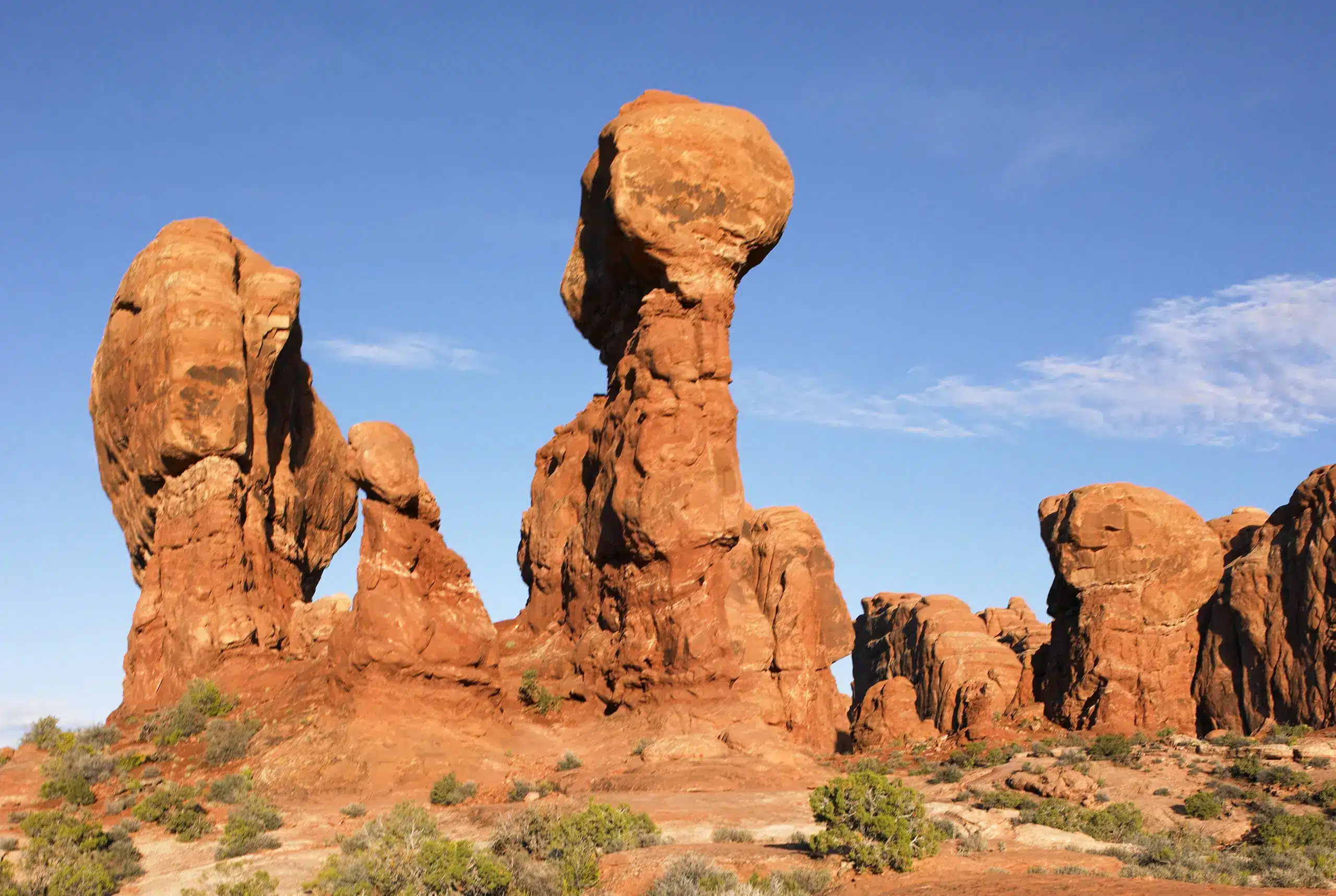 AdobeStock 384706065 Scaled 1.jpeg AdobeStock 384706065 scaled 1.jpeg