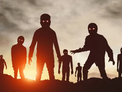 Nuestro Blog 3 El caso del gallo y el perro zombis